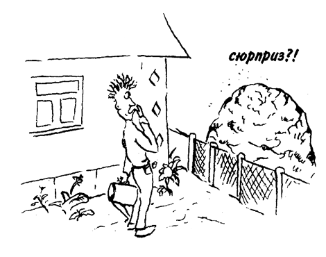 Внимание! Соседи — тоже люди, причём часто нервные и впечатлительные. Вот почему большие компостные кучи желательно ограждать от их взоров живыми изгородями.