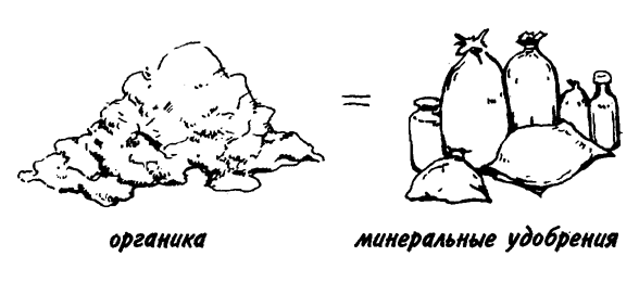 Идеальное удобрение — хорошо вызревший компост, который во время перепревания обрабатывался биодинамическими препаратами.