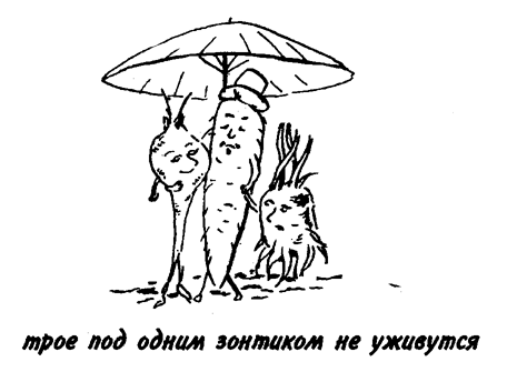 Растения, принадлежащие к одному семейству, не должны сменять друг друга.