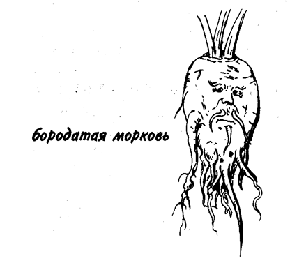Морковь требует очень лёгкой почвы. Если в процессе строительства на участок попало слишком много глины, проведите несколько глубоких обработок почвы начиная с осени. Морковь требует очень лёгкой почвы. Если в процессе строительства на участок попало слишком много глины, проведите несколько глубоких обработок почвы начиная с осени.