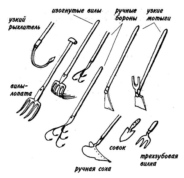 Обрабатывать почву лопатой тяжелее и менее полезно, чем использовать в этих целях нетрадиционные инструменты.