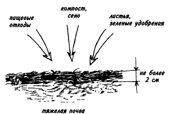Лёгкие песчаные почвы особенно нуждаются в мульчировании и поверхностном компостировании. Нужно только, чтобы слой мульчи не был слишком толстым.