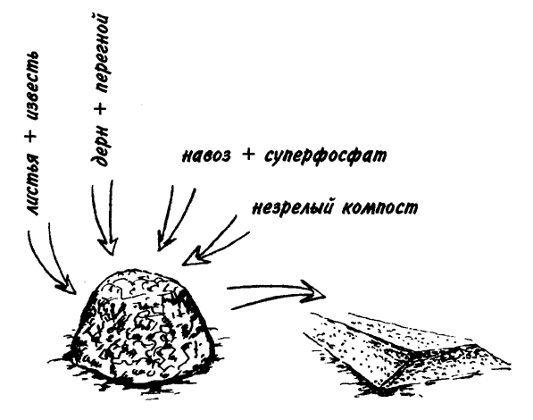 Поверхностное компостирование — это укладывание слоями остатков растений, навоза, неспелого компоста, соломы и т. д. для перегнивания непосредственно на поверхности почвы.