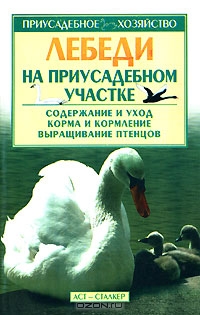 Лебеди на приусадебном участке Лебеди на приусадебном участке