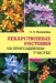 Лекарственные растения на приусадебном участке Лекарственные растения на приусадебном участке